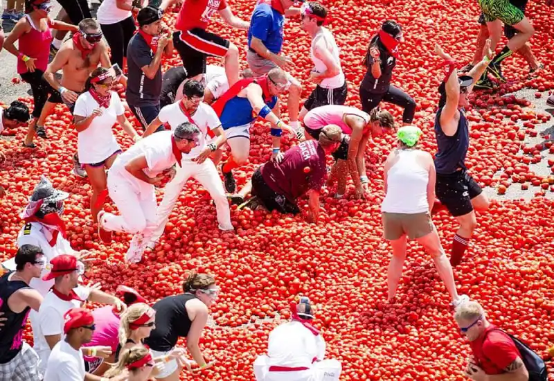 La Tomatina rules