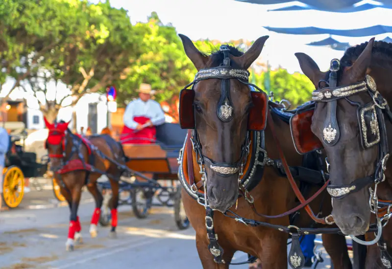 Feria Del Caballo Horse Fair