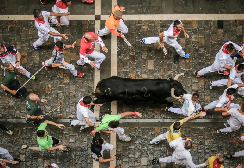 San Fermin Bull Run