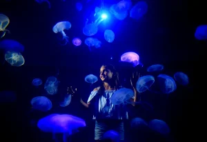 palma aquarium mallorca