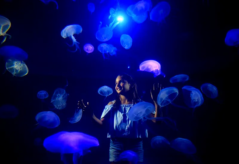 palma aquarium mallorca