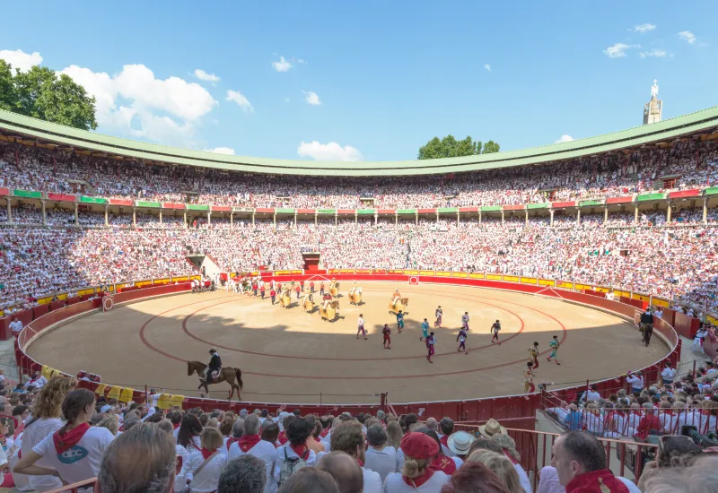 pamplona san fermin