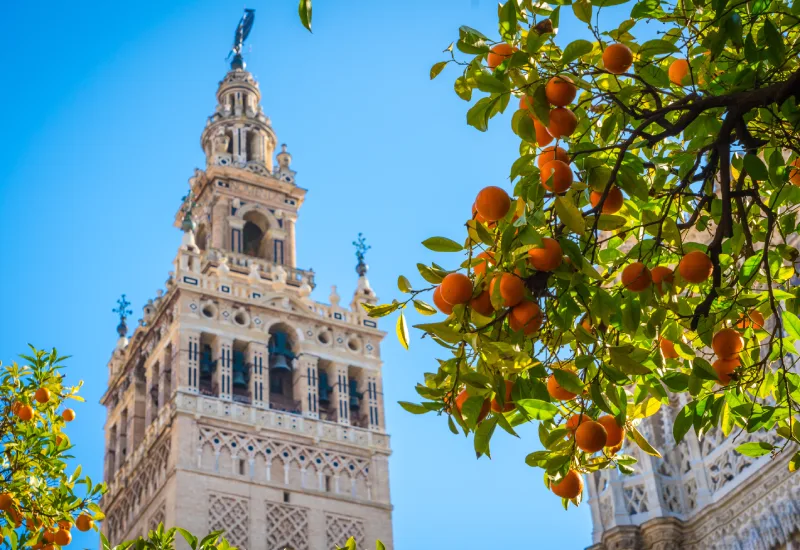 Seville Cathedral