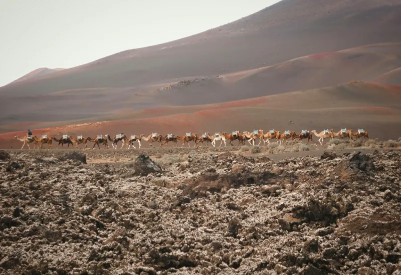 Timanfaya Park